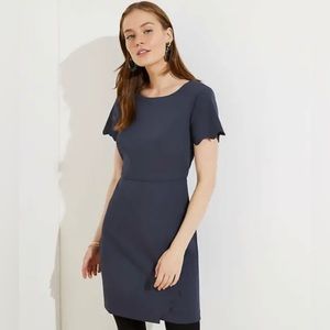 NWT Loft Charcoal Gray Work Office Short Sleeve Dress Size 2